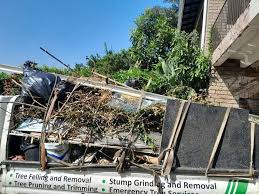 Trusted Westlake Village, CA Junk Removal Experts